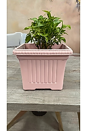Ova Balkon Saksı No:1 – 27x16 cm, 3.5 Litre Dikdörtgen Saksı