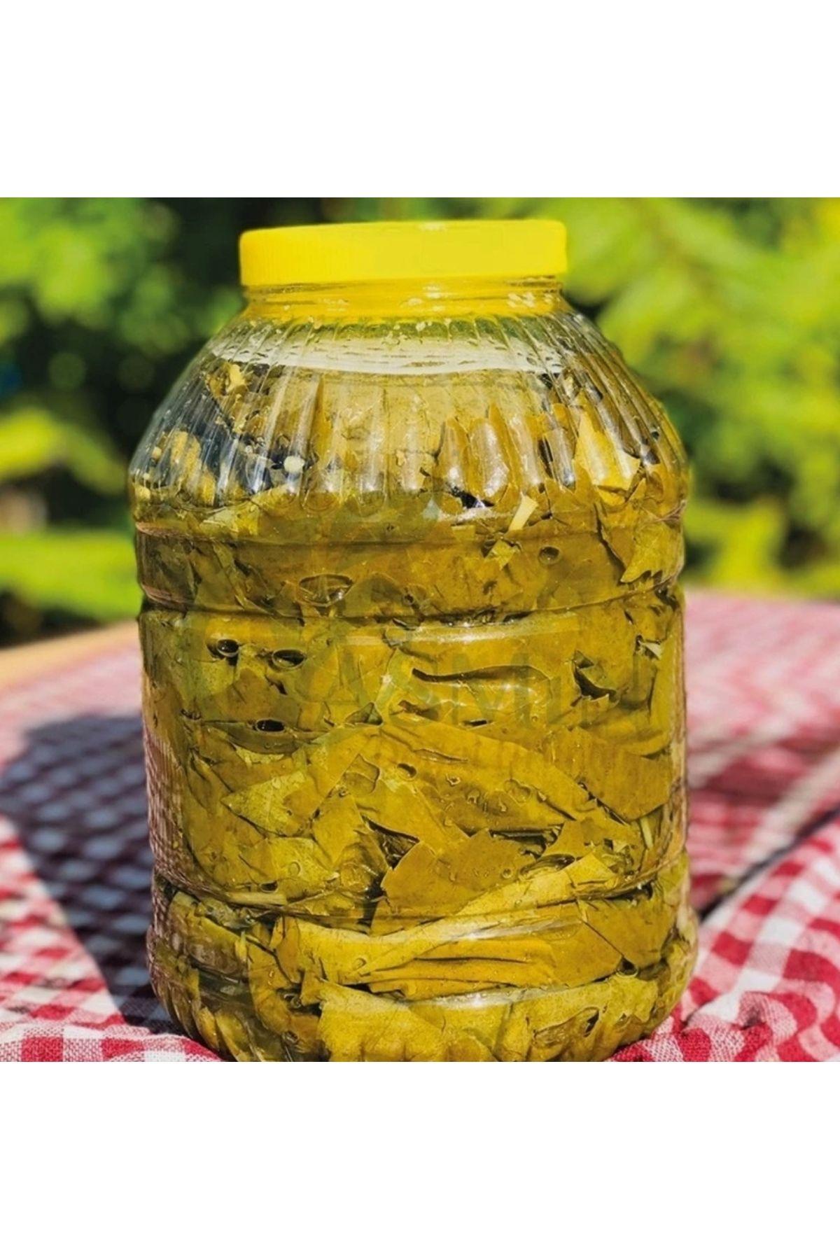 15 Litre Pet Bidon – Salça, Sirke, Yağ, Turşu İçin