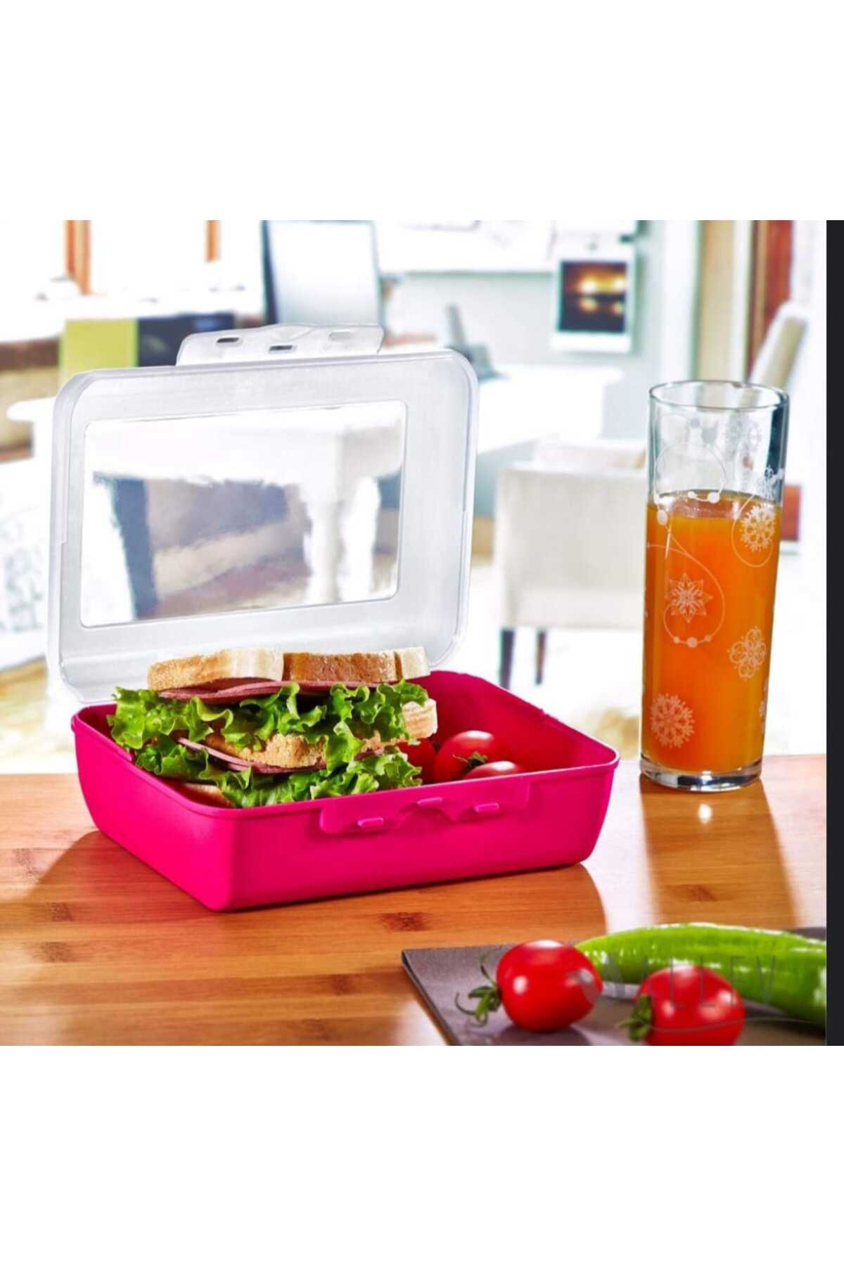 1.5 Litre Tek Bölmeli Plastik Beslenme Kabı | 19x14 cm