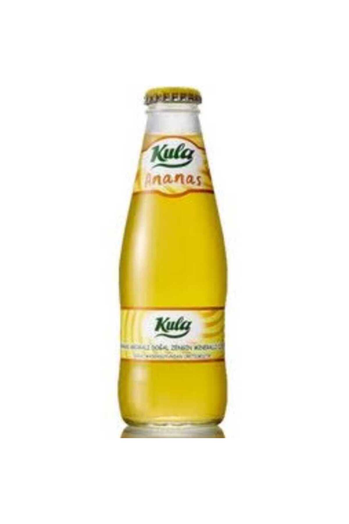 Ananas Aromalı Doğal Mineralli Maden Suyu 200 ml x 24 Cam Şişe (6 x 4’lü Paket)